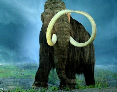 Woolly Mammoth